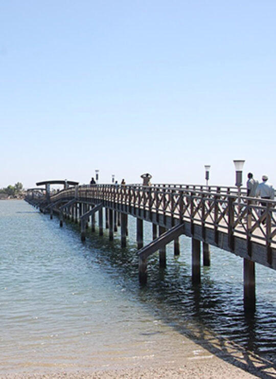 Joal Fadiouth Joal Fadiouth